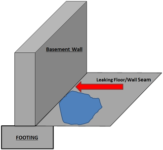 Floor/Wall Seam Repair