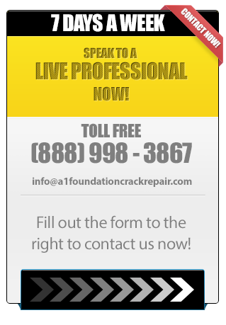 Speak to a Live Professional Now!